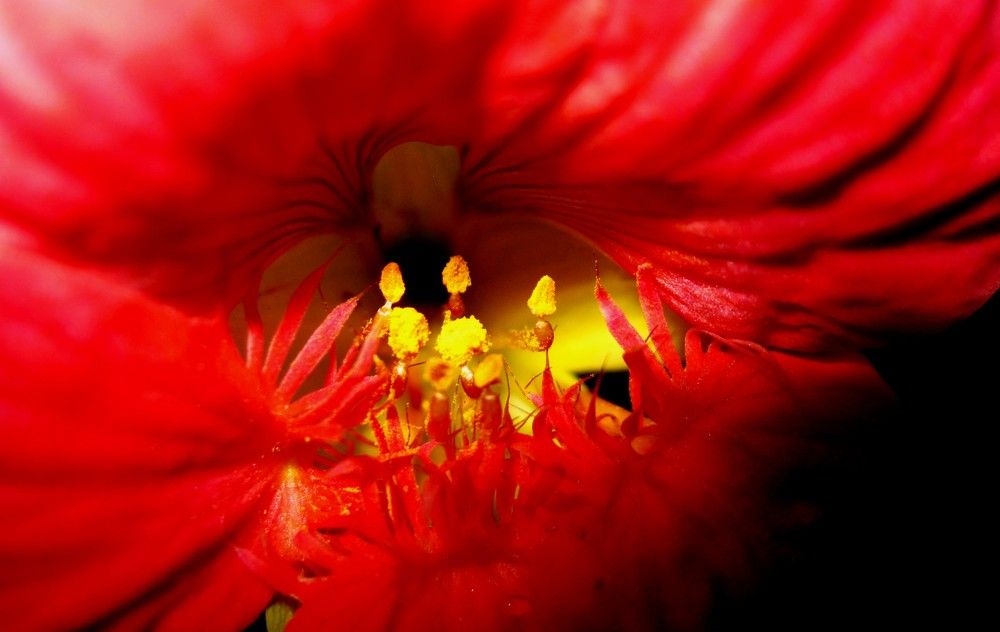 Photograph by Viktoriia Rusanova