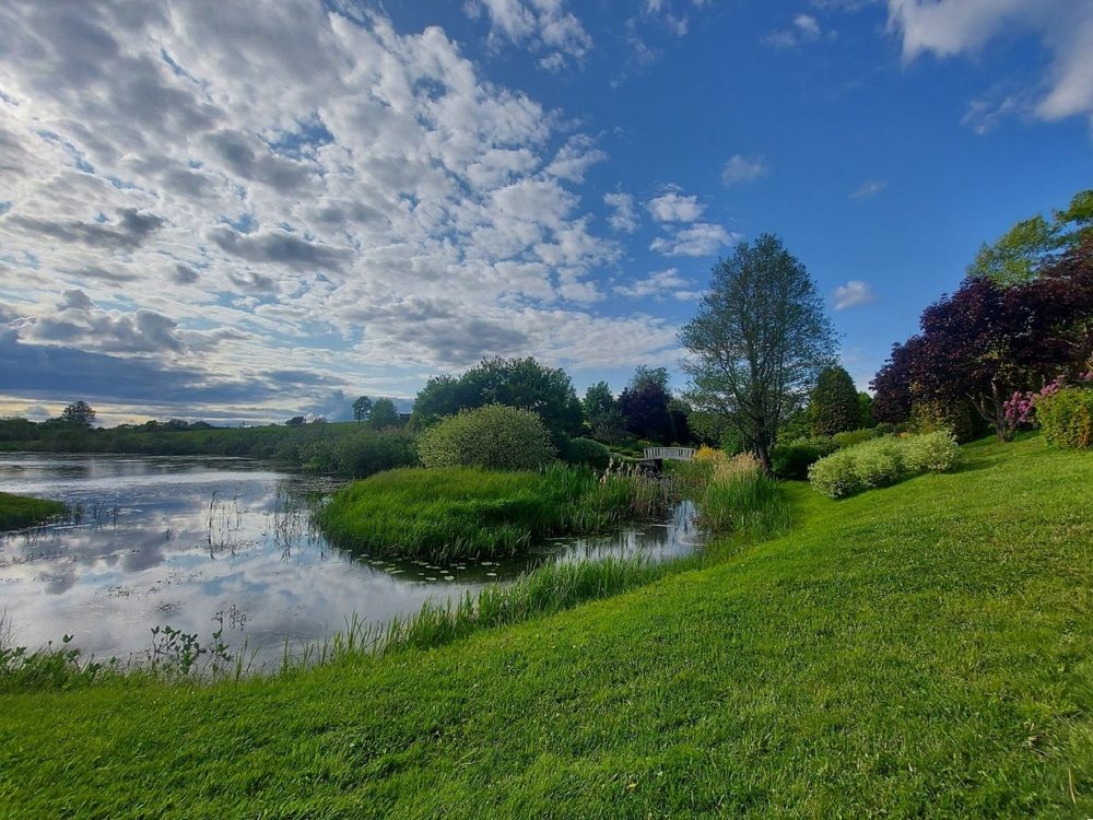 Photograph by Мария Тафеенко