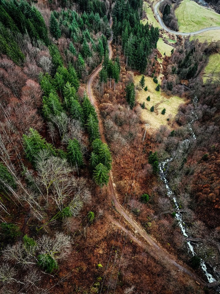 Photograph by Mohammad Sahihi Benis