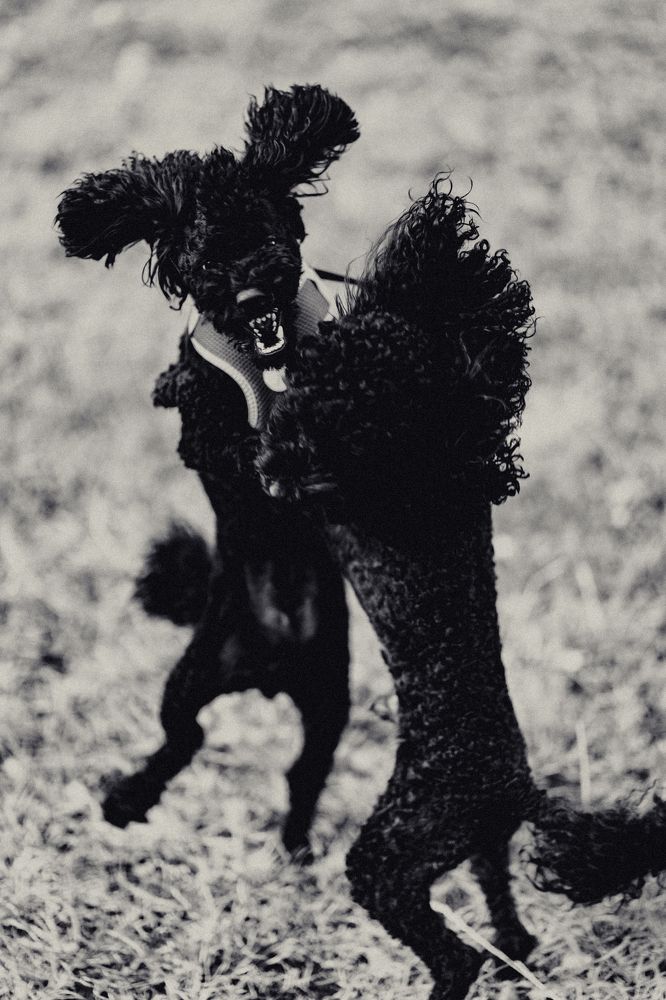 Photograph by Иван Никонов