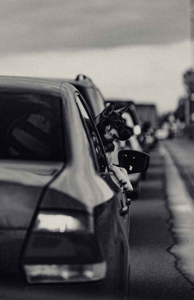 Photograph by Иван Никонов