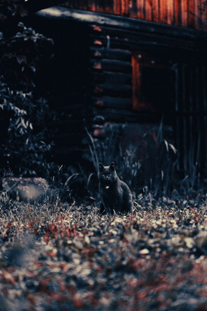 Photograph by Иван Никонов