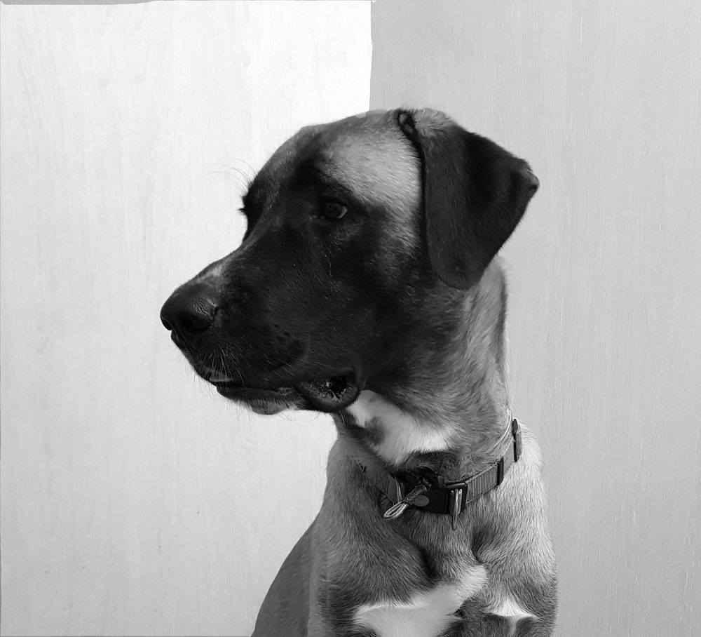 Photograph by Nataliya Kalinina