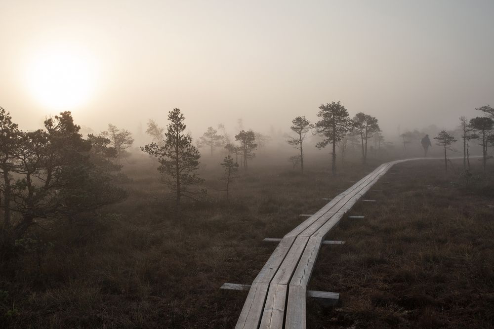 Фотография автора Aleksandra Hruscova