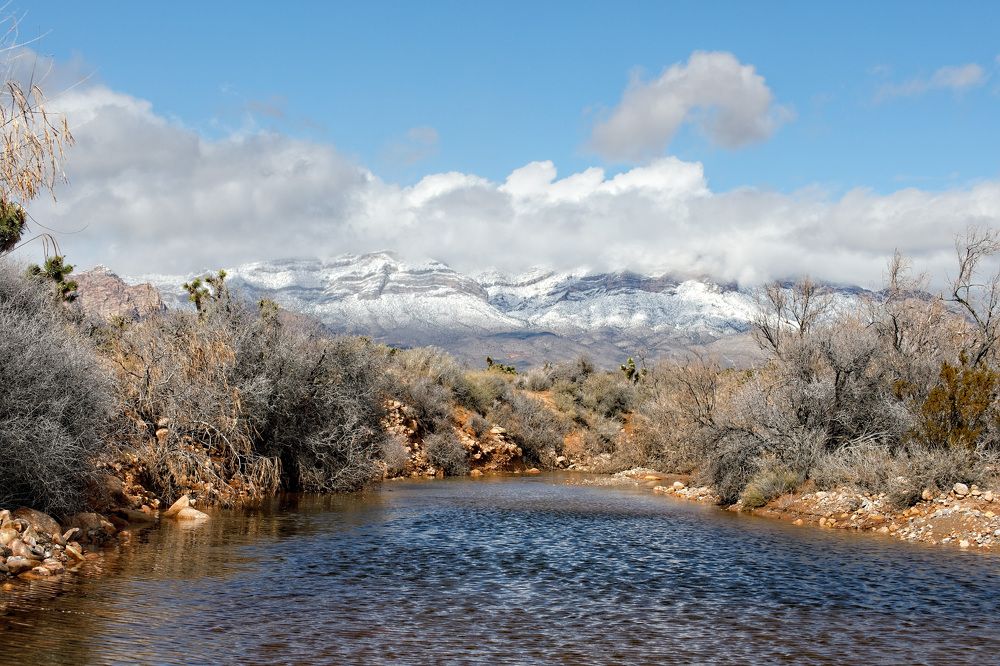 Photograph by Daria Osipova