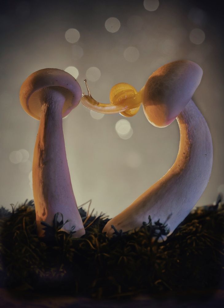 Photograph by Малика Маткарим