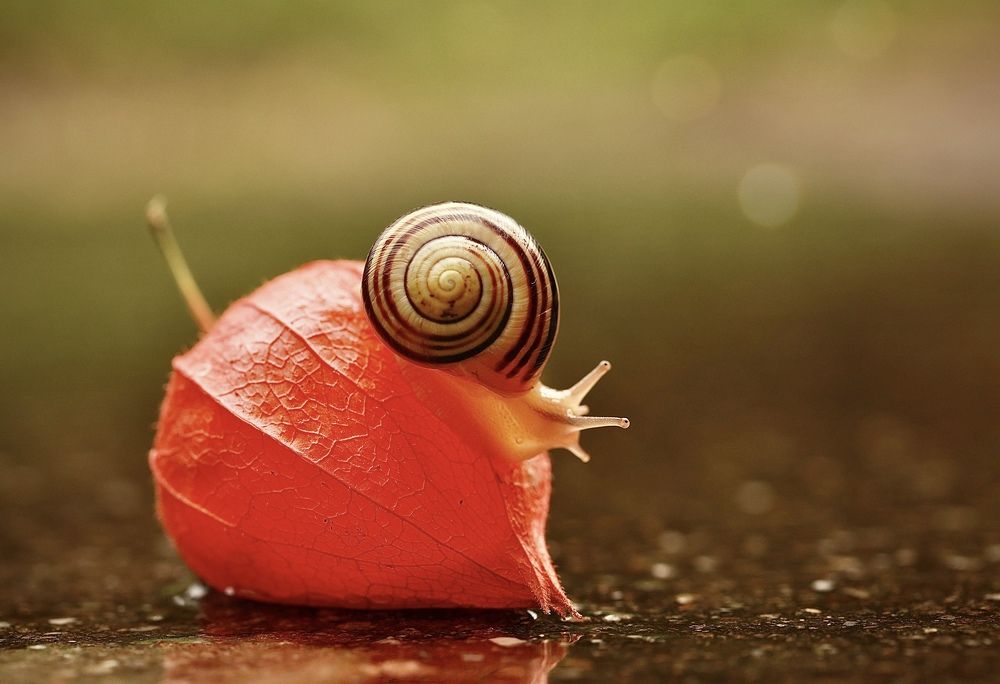 Photograph by Малика Маткарим