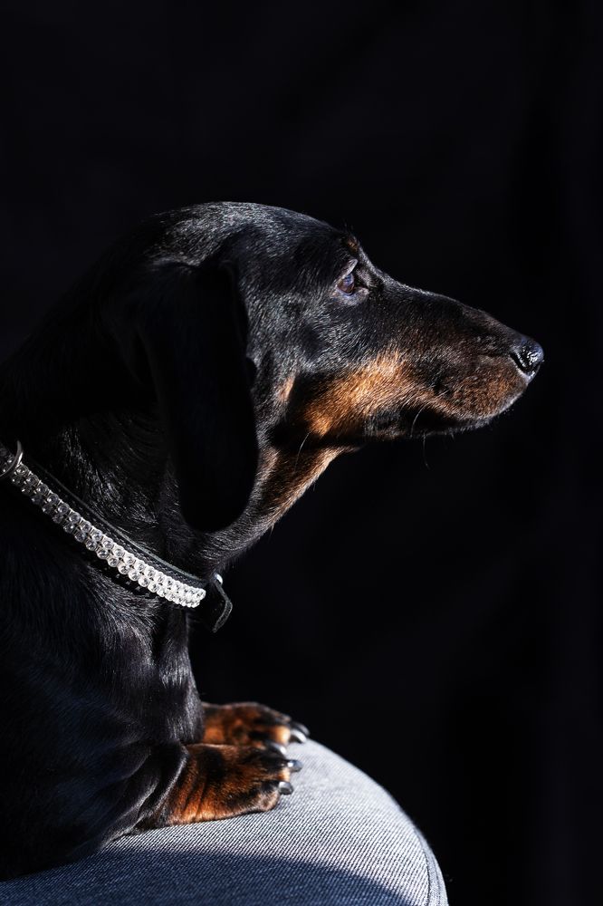 Фотография автора Aleksandra Hruscova