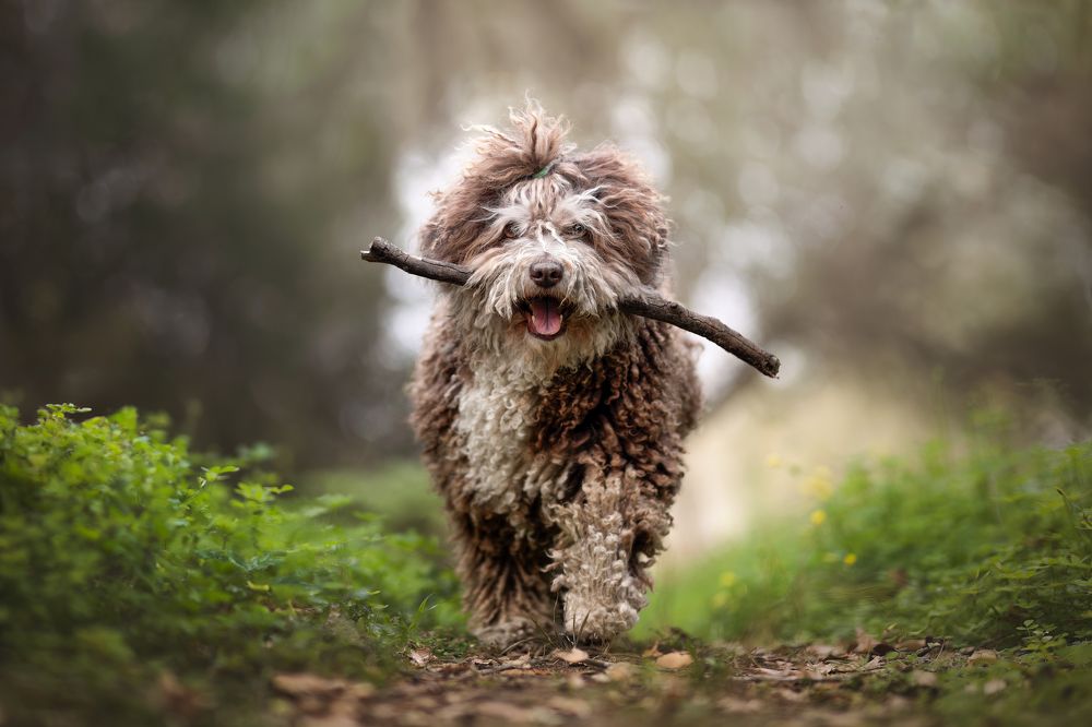 Photograph by Leticia Hernandez