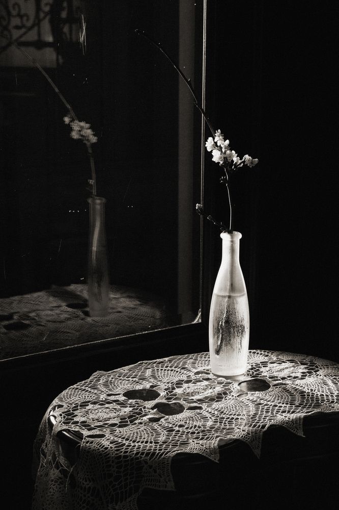 Фотография автора Aleksandra Hruscova