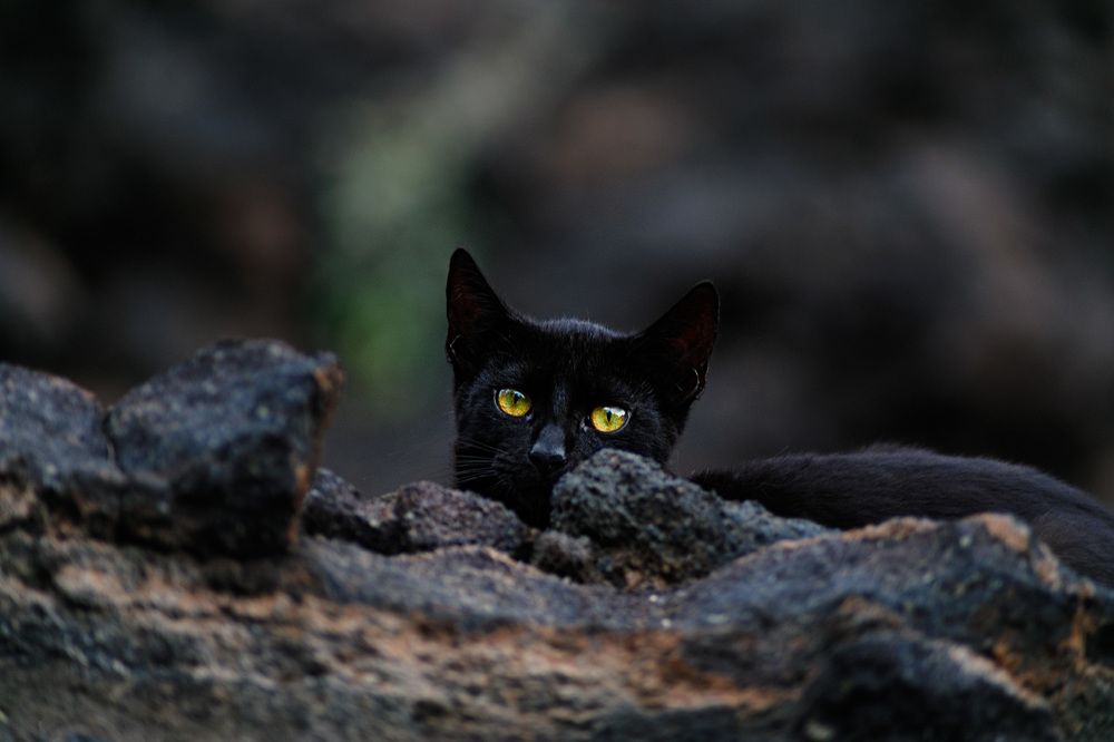 Photograph by Daria Osipova