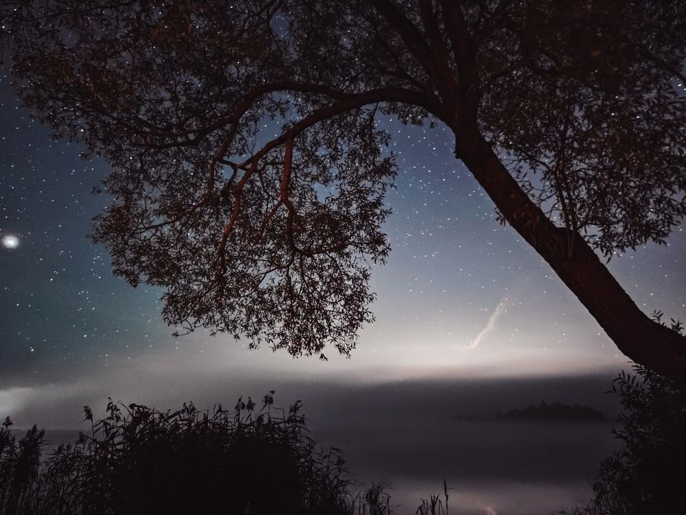 Photograph by Сергей