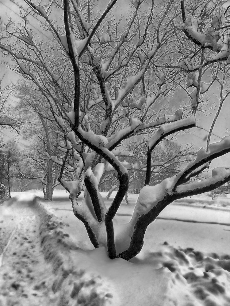 Photograph by Виктор Егоров