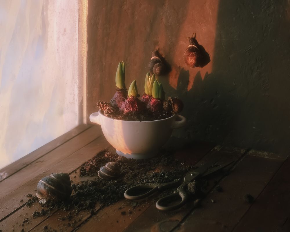 Фотография автора Виктория Шаманова