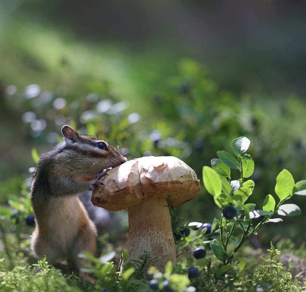 Photograph by Евгения Левина