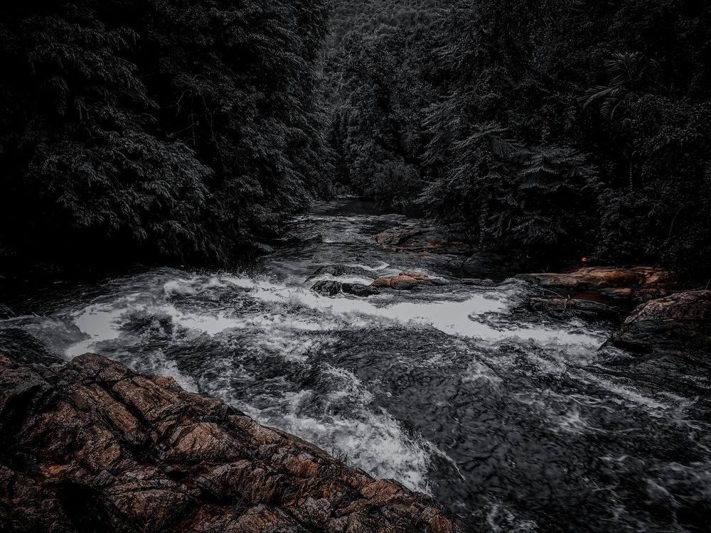 Photograph by M.Maleesha Sathsara Perera