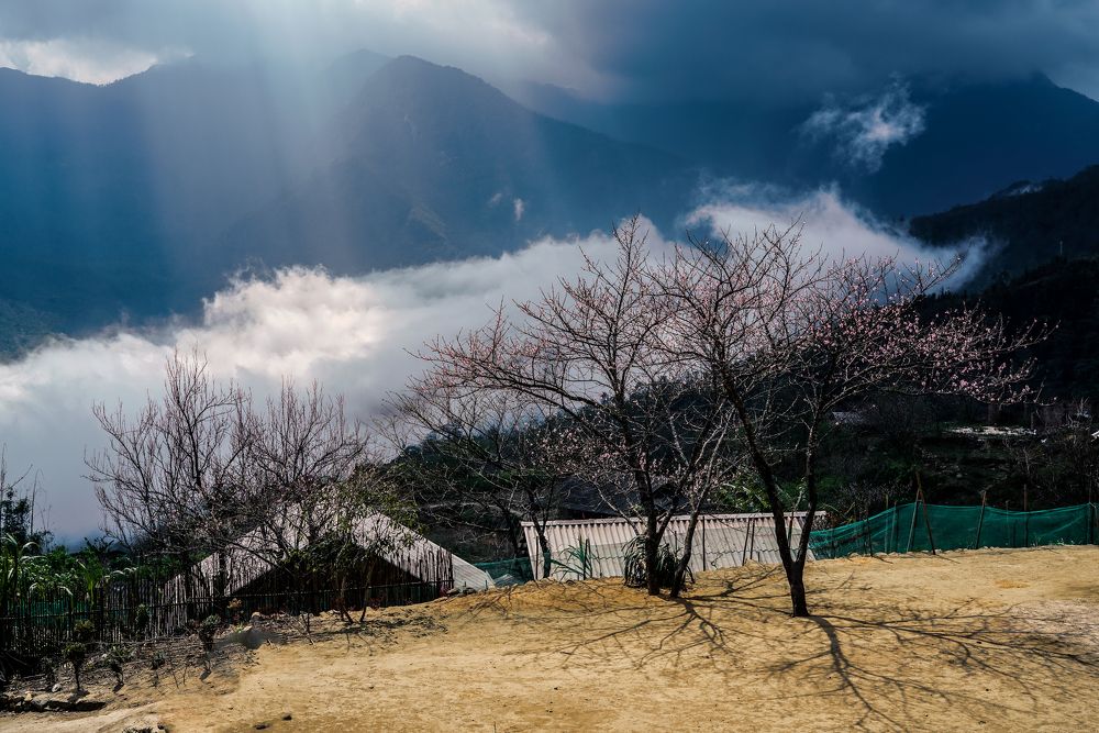 Photograph by Hoai Anh Dang