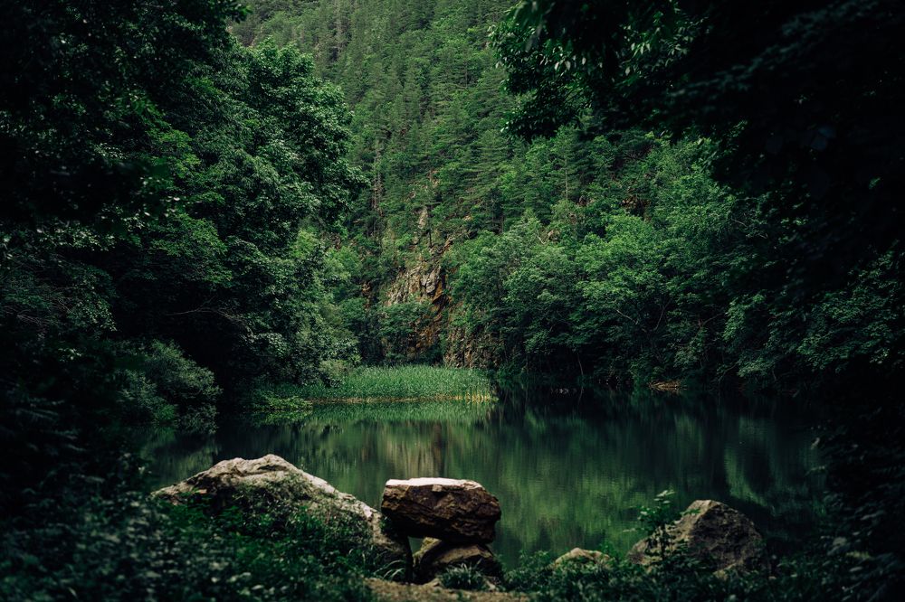 Photograph by Иван Зайцев