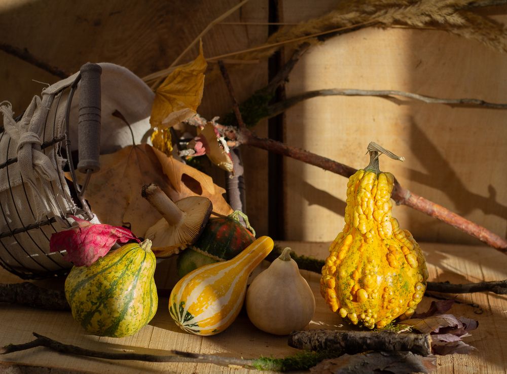 Photograph by Yana Pitchuzhkin