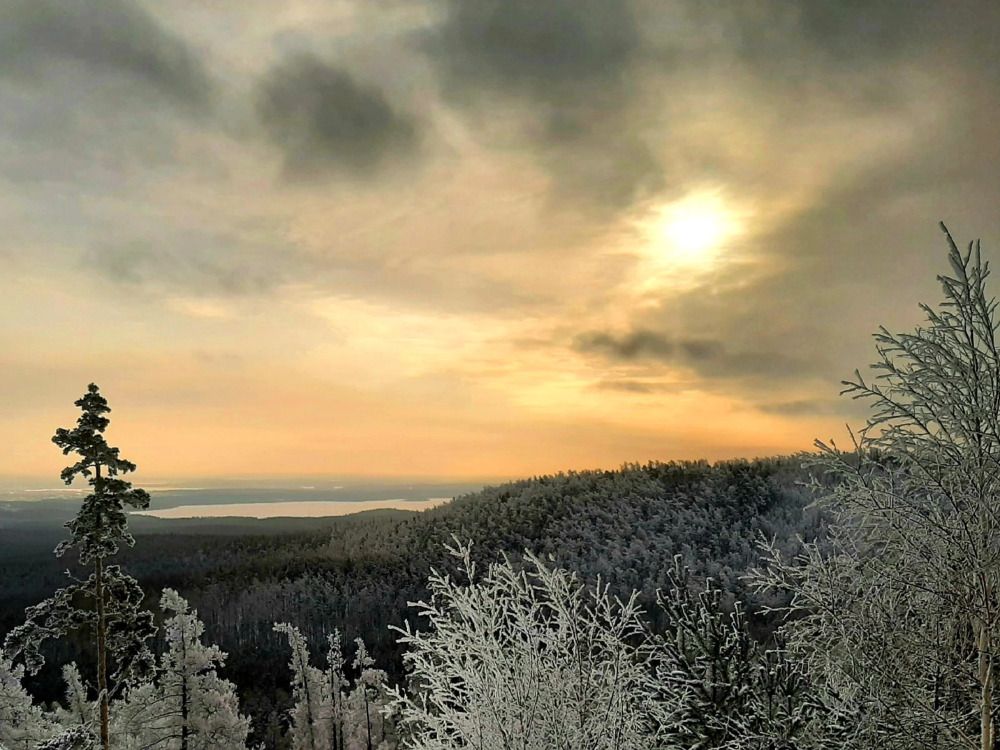 Мороз и солнце - день чудесный!)