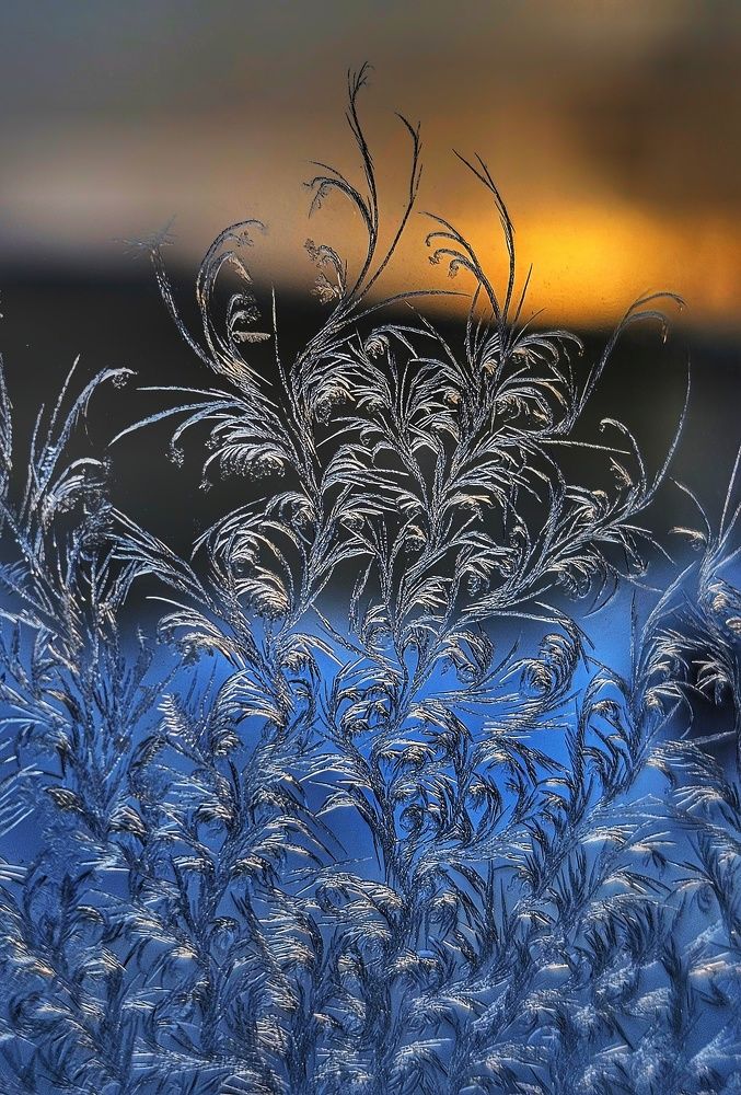 Photograph by Ольга Веселова