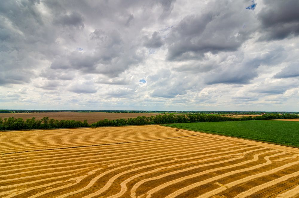 Photograph by Александр Редько