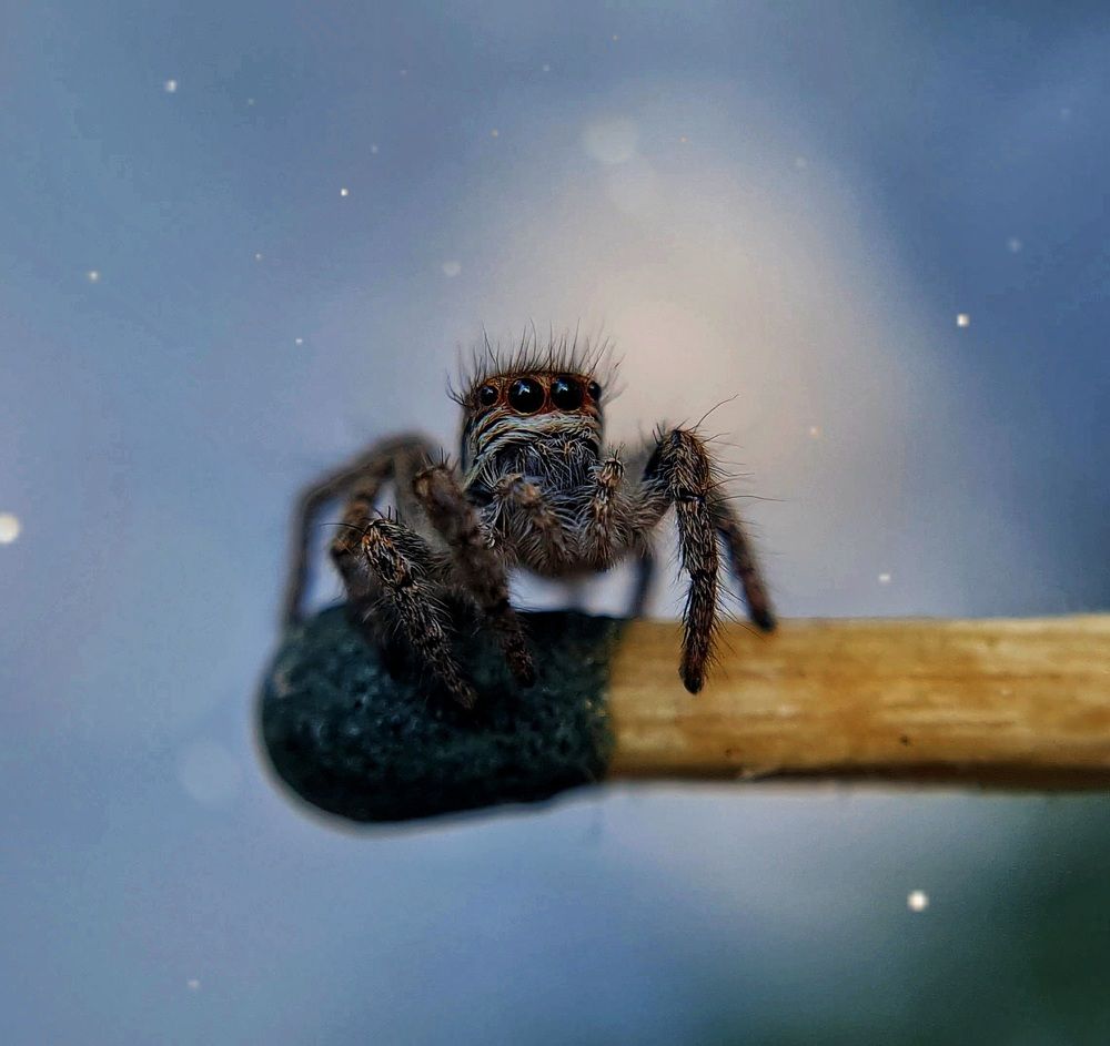 Photograph by Ольга Веселова