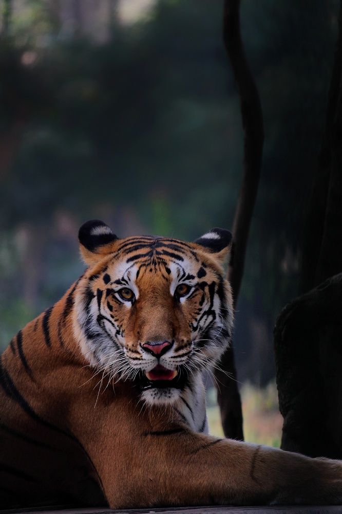 Photograph by Harsh Srivastava