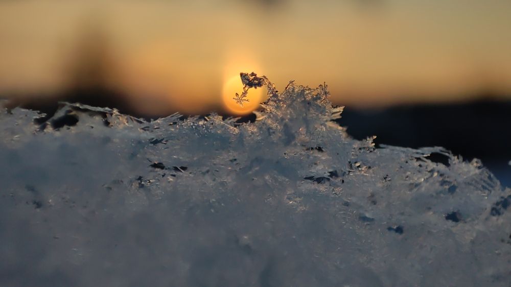 Photograph by Марина Артемьева