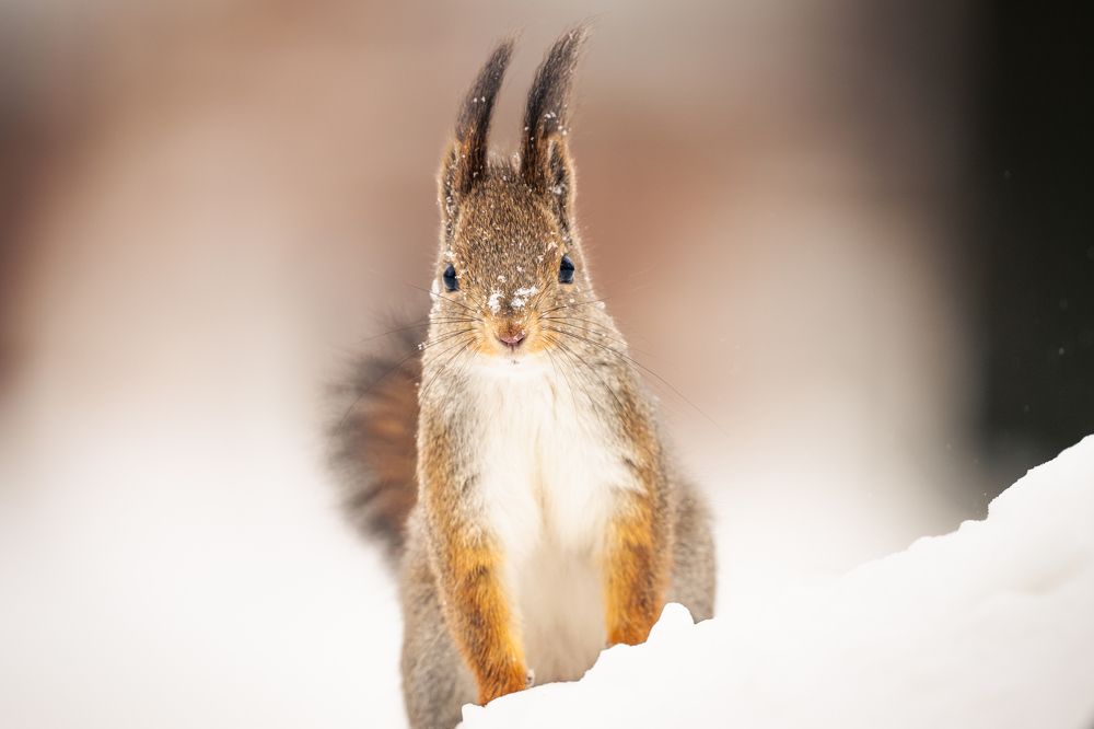 Photograph by Gevork Gukasyan