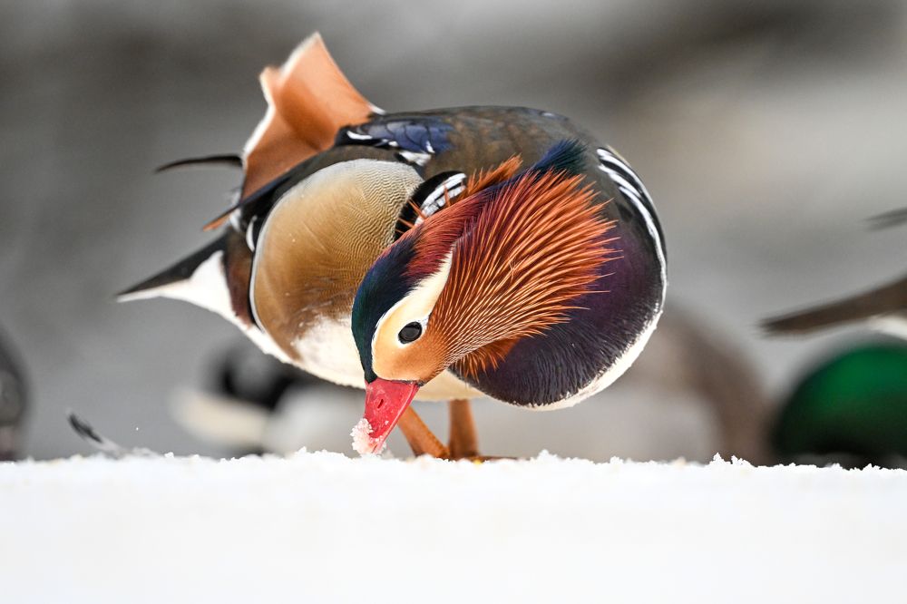 Photograph by Gevork Gukasyan