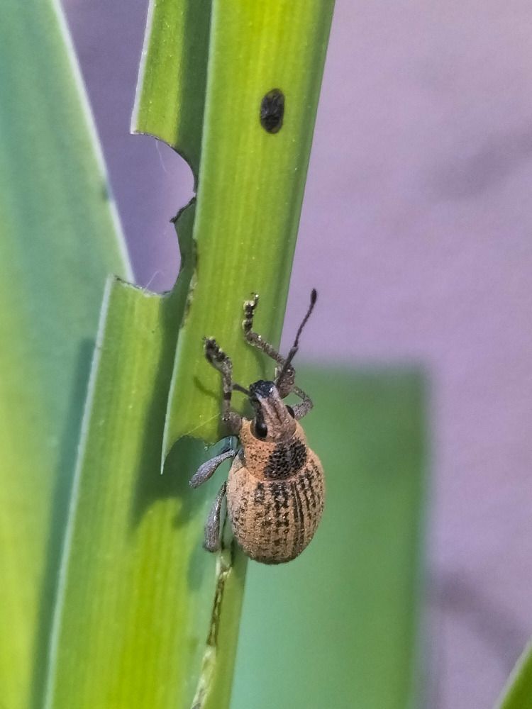 Фотография автора Bernadette Pretorius