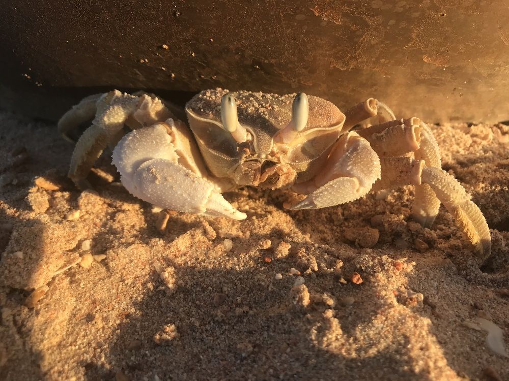 Photograph by Мария Берёзка