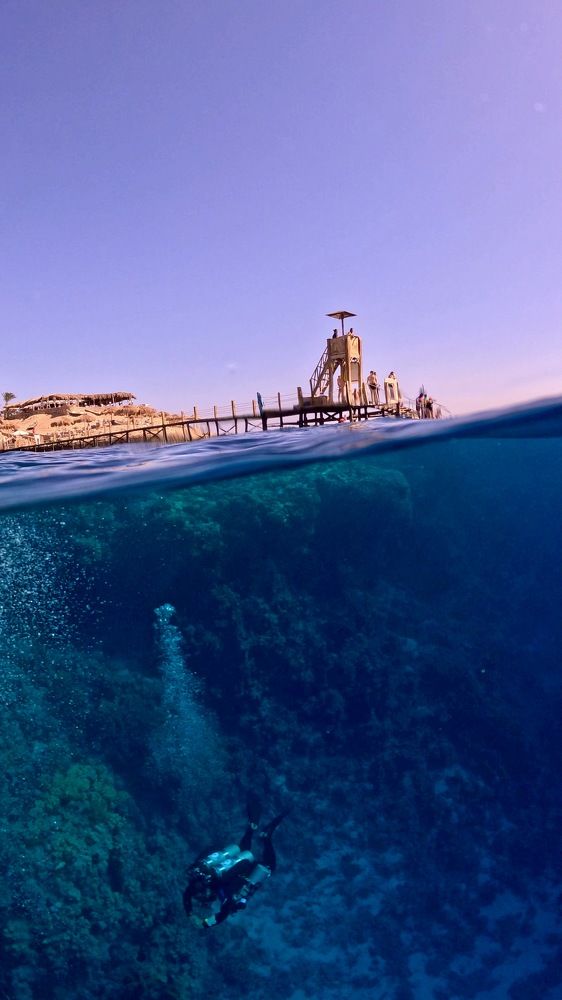 Photograph by Мария Берёзка