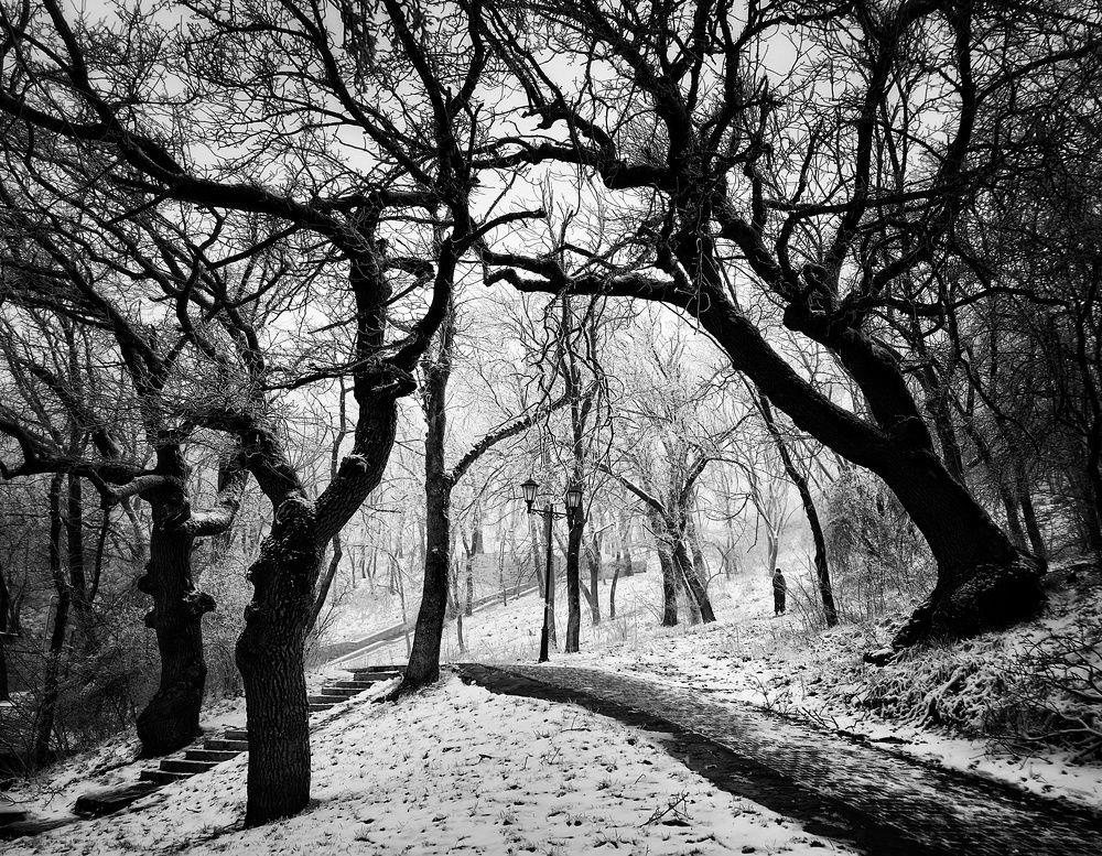 Photograph by Владимир Кривенко