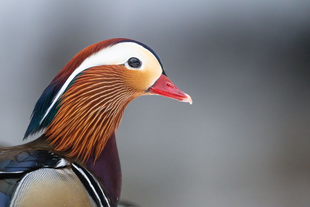 Photograph by Gevork Gukasyan