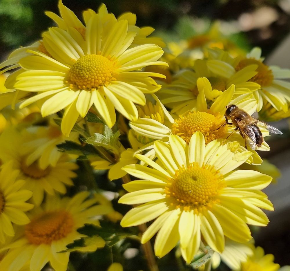 Photograph by Евгений Фесенко