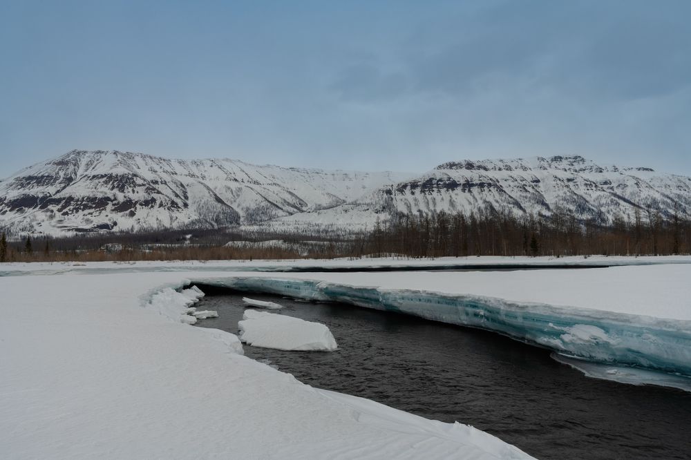 Весна на Таймыре