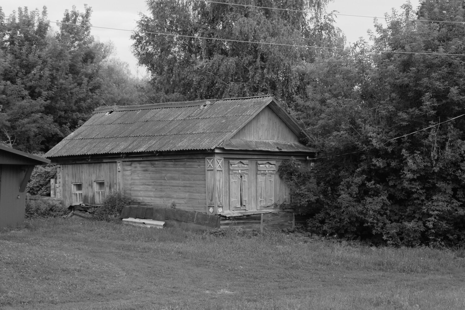 Photo #10330751