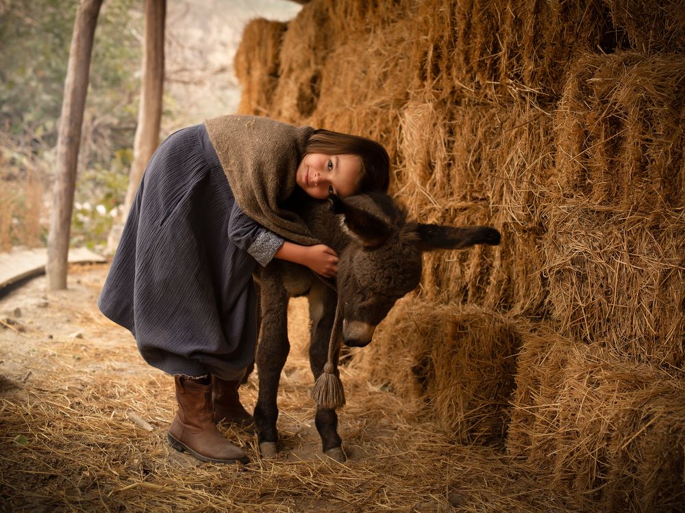 Photograph by Виктория Тювина