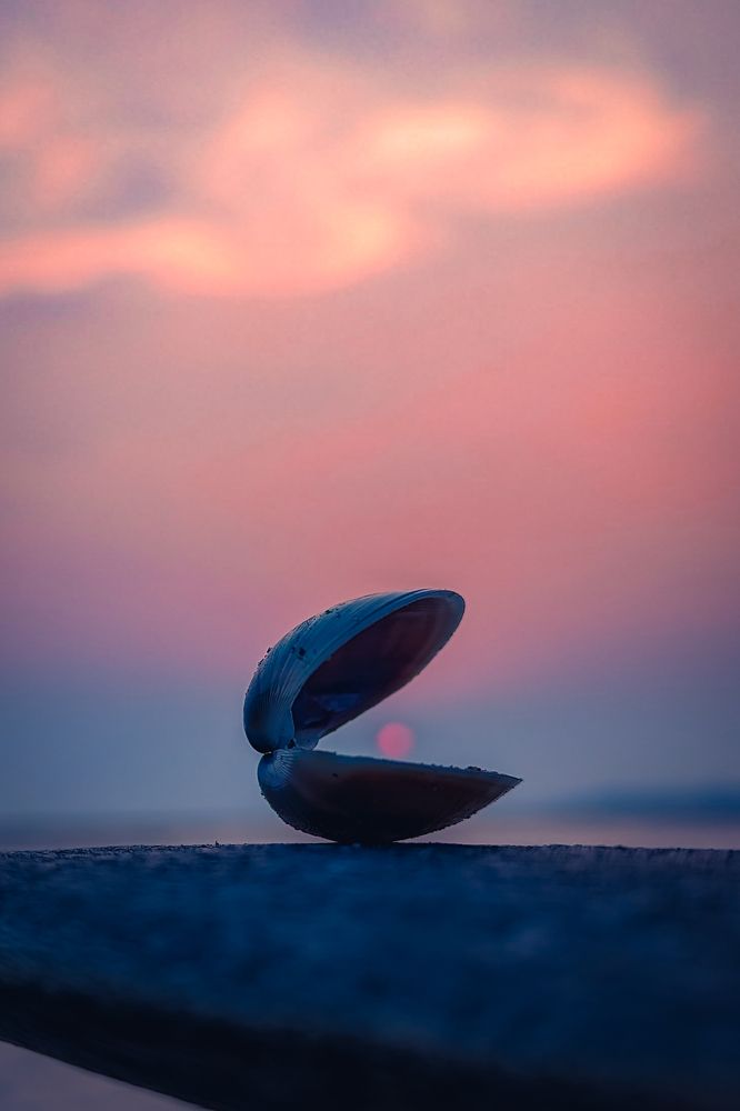 Photograph by Arita Halder