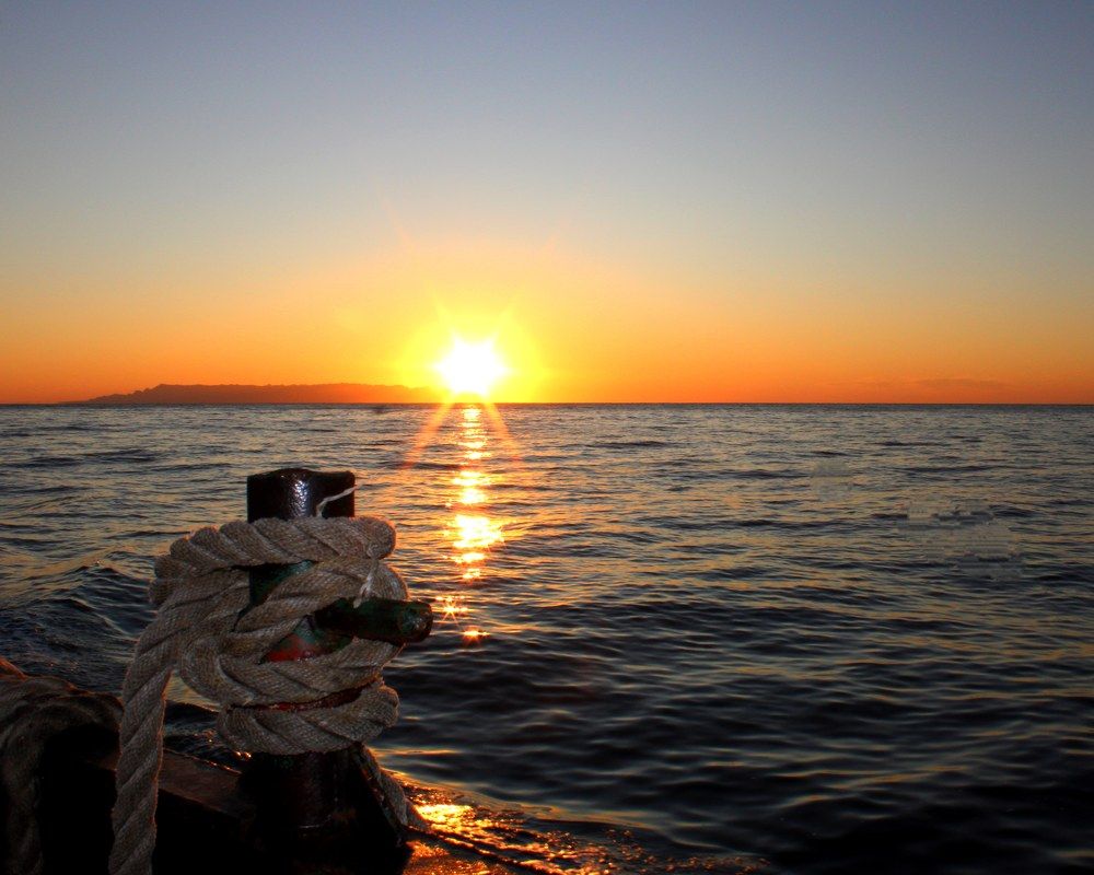 Photograph by Hajar Amir hajiloo