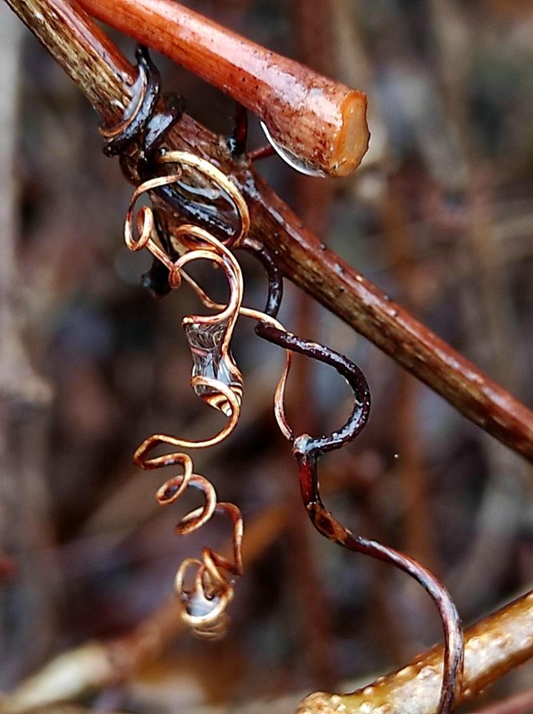 Photograph by Татьяна Солтан