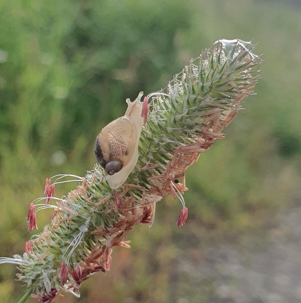 Photograph by Жанна Регор