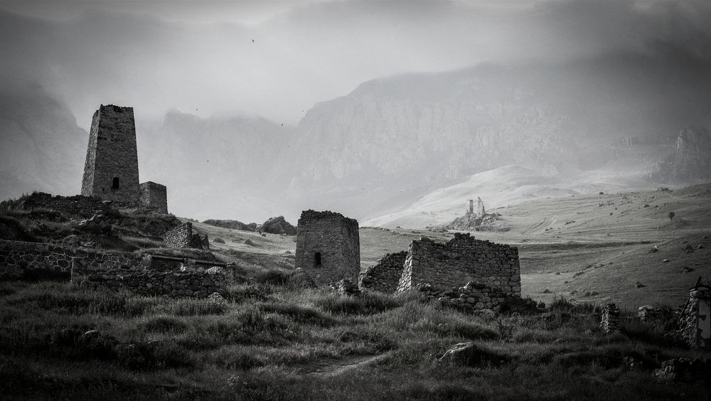 Photograph by Svetlana Gubanova