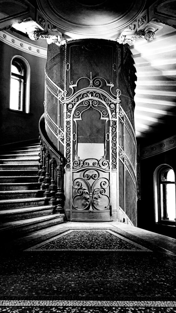 Photograph by ANASTASIYA NIKOLSKAYA