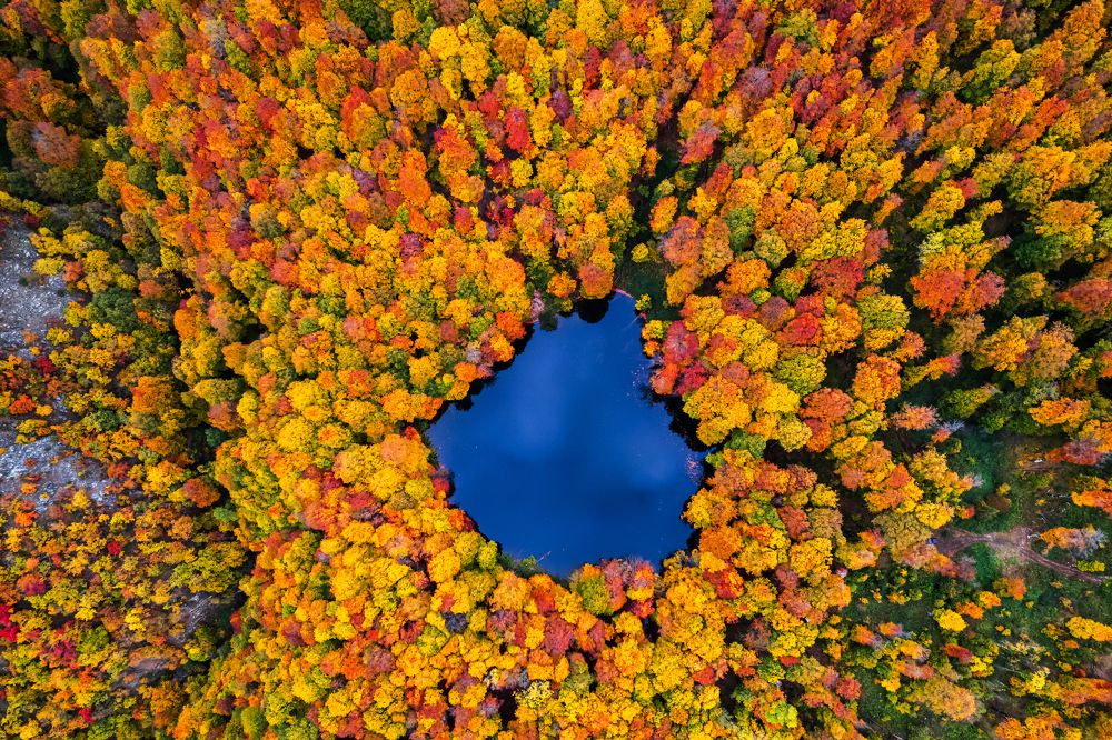 Photograph by Эльман Гусейнов