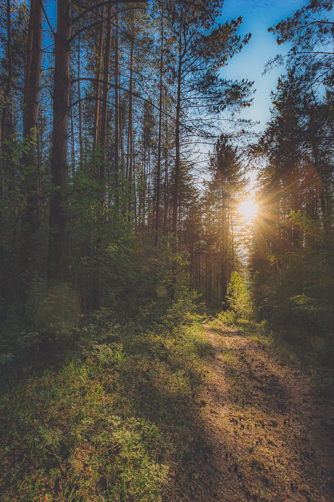 Photograph by Александр Жариков