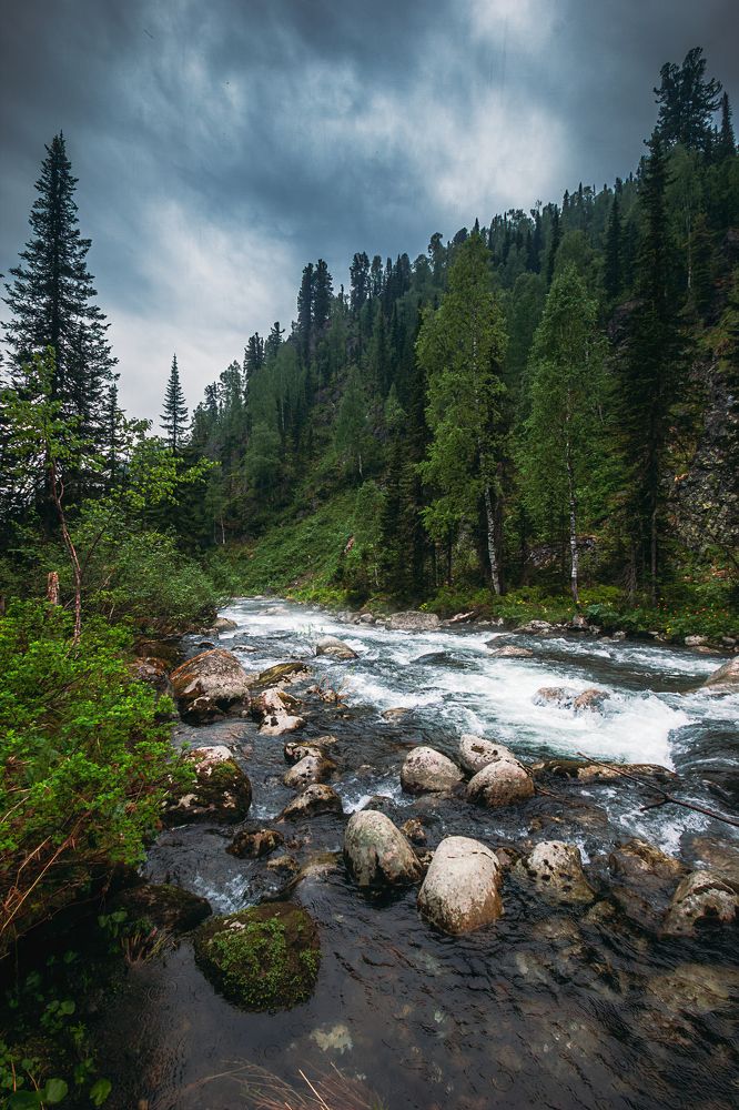 Photograph by Александр Жариков