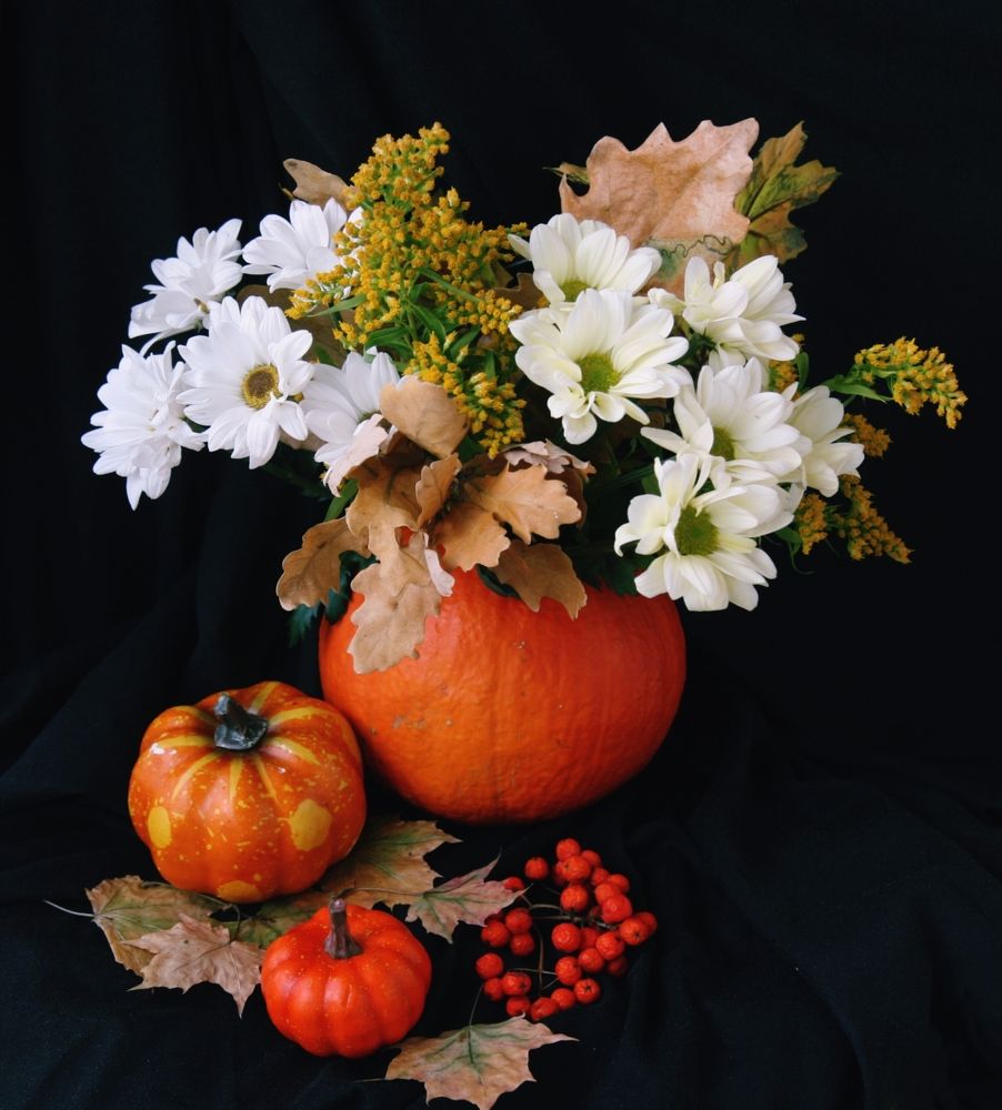 Photograph by Алена Ходатович